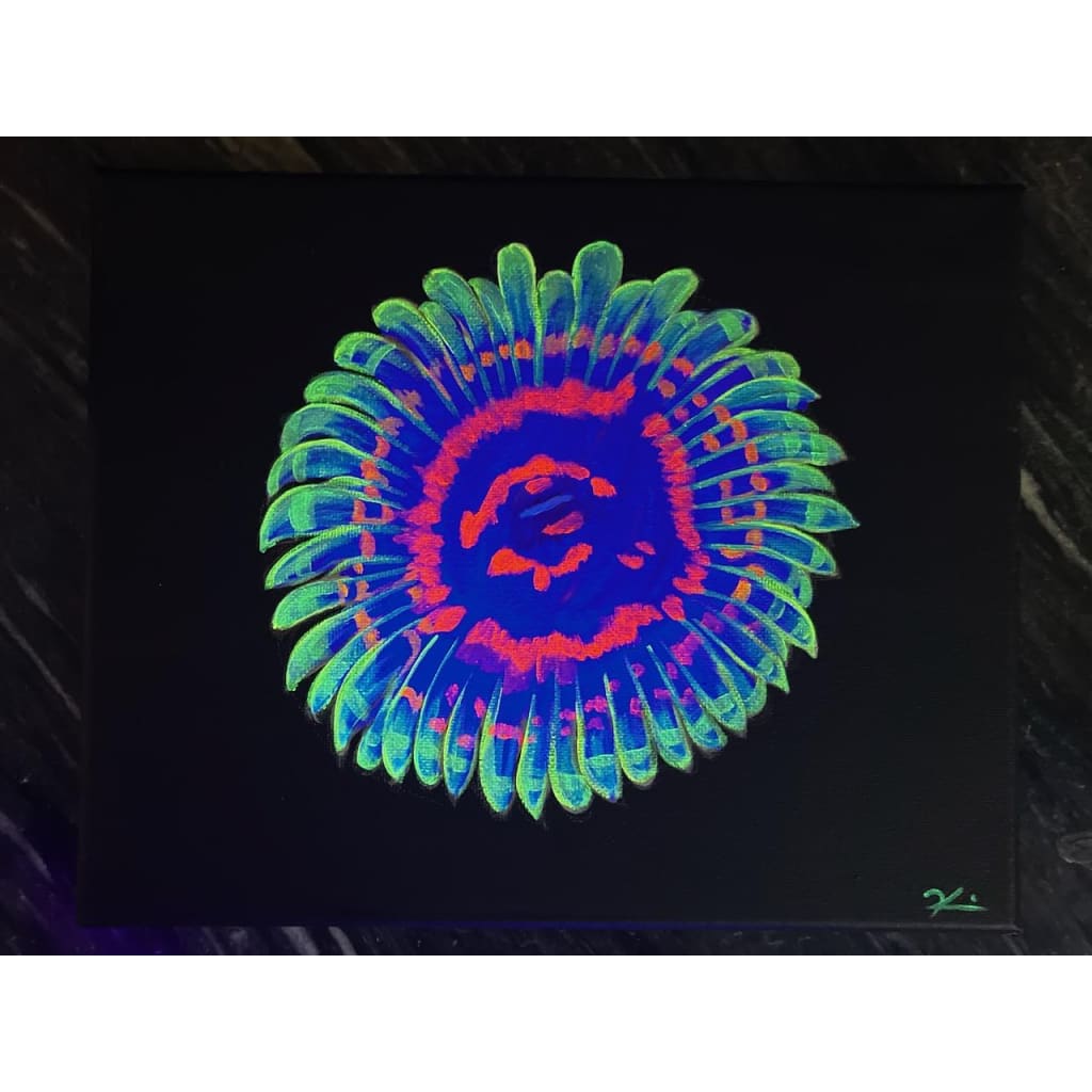 Hallucination Zoanthid Painting