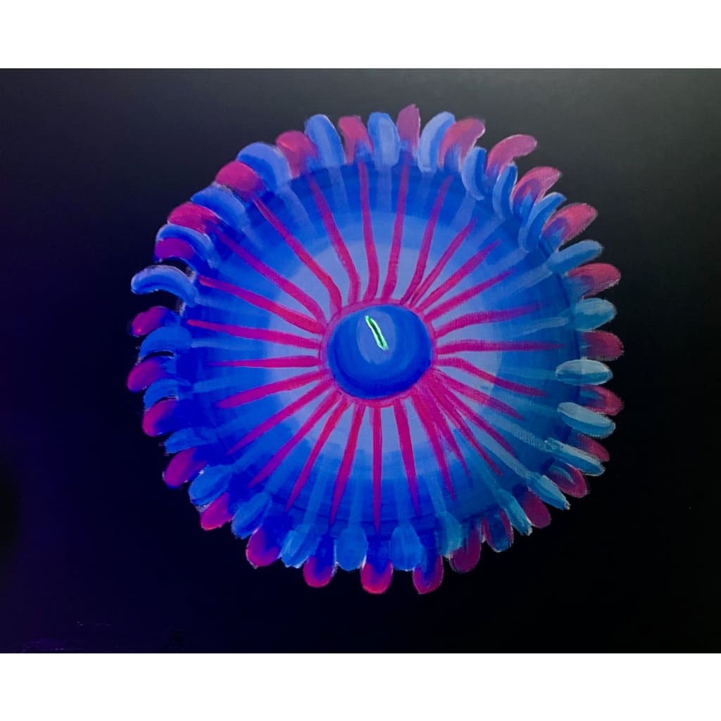 White Zombie Zoanthid Painting